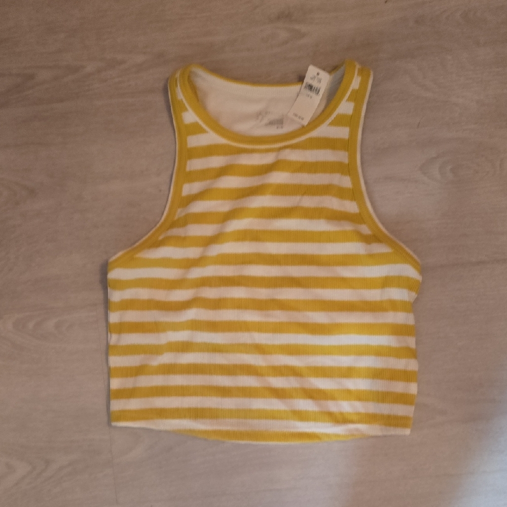 Lime and White Striped Crop Top Aerie Offline